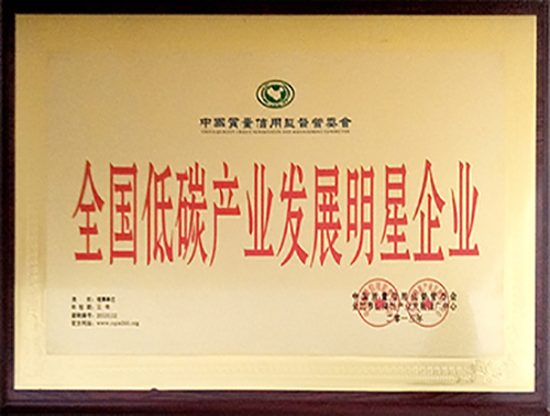 ȫ��(gu��)��̼�a(ch��n)�I(y��)�l(f��)չ������I(y��)